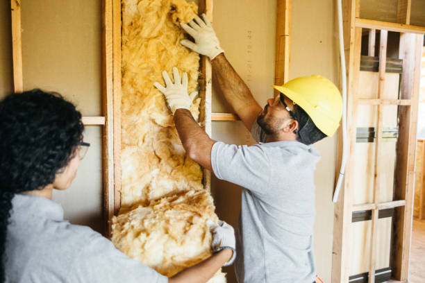 Insulation Replacement Services in Newville, PA