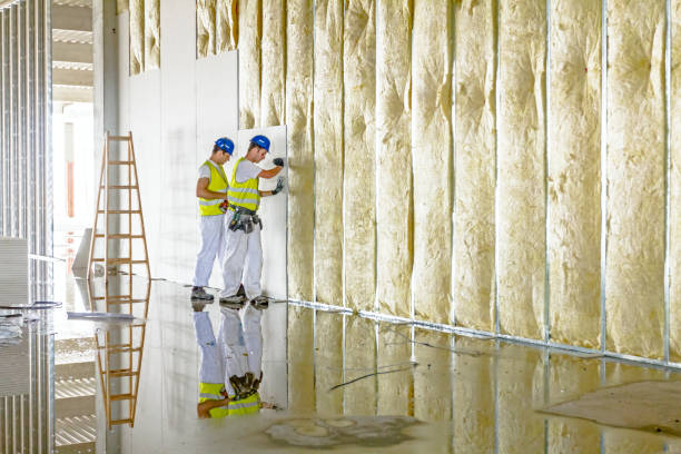 Best Insulation Repair Services  in Newville, PA